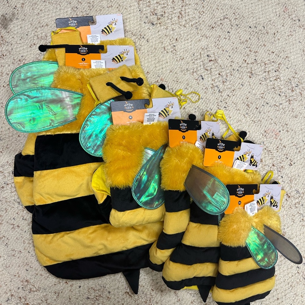 Pet costumes (bumble bee)